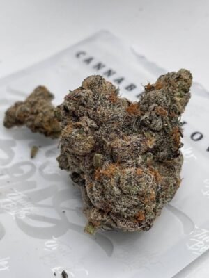 WhatsApp Image 2026-09-12 at 11.58.01 PM Jungle boys prepackaged 8ths (authentic):